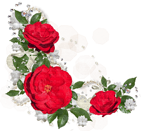 roses corner - ücretsiz png