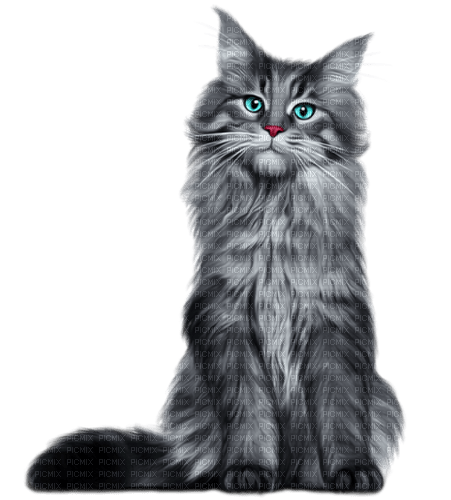 Un Gato gris - δωρεάν png