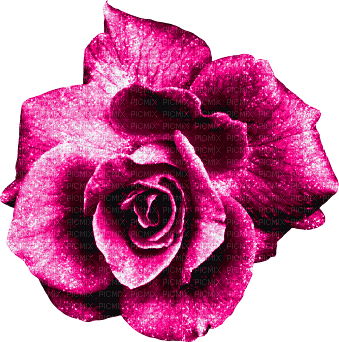 Glitter.Rose.Pink - PNG gratuit