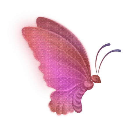 Schmetterling butterfly - 無料png