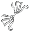 Ladybird - DECORATION SILVER - 免费PNG