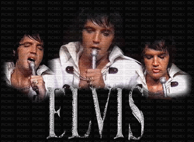 Elvis Presley bp - Free animated GIF