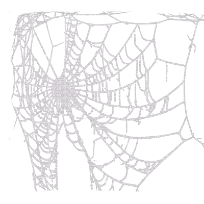 spiderweb - 免费PNG