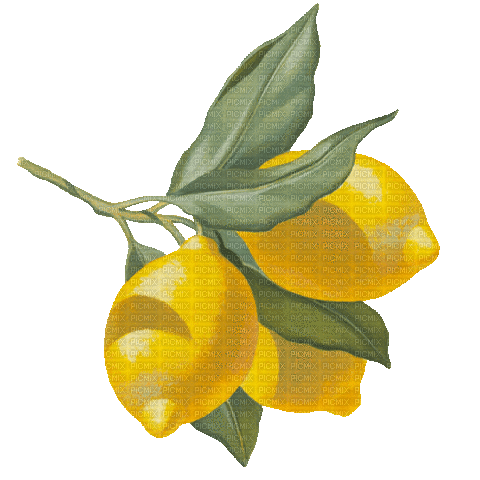 Lemon - GIF animado grátis