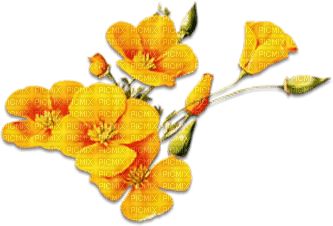 soave deco flowers branch spring yellow - kostenlos png