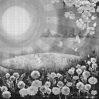 Y.A.M._summer background flowers black-white - Gratis geanimeerde GIF