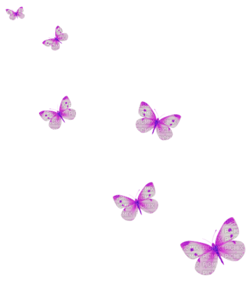 butterflies - 免费PNG