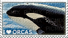 i love orcas - PNG gratuit