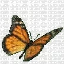 бабочка - Free PNG
