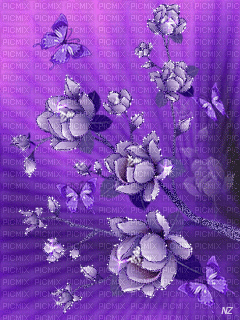 MMarcia gif flores lilás fundo fond - GIF animado grátis