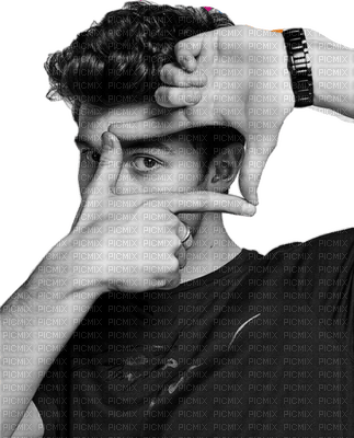 SHAWN MENDES - ilmainen png