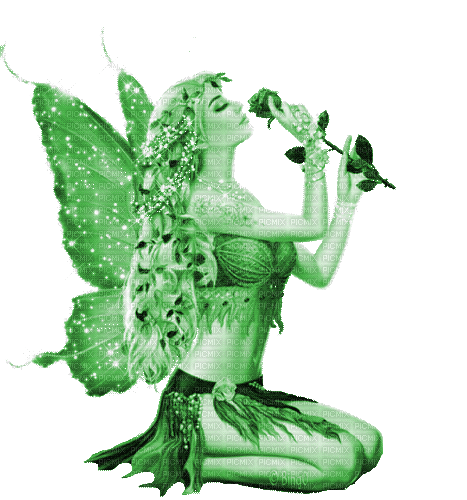Y.A.M._Fantasy fairy green - GIF animé gratuit