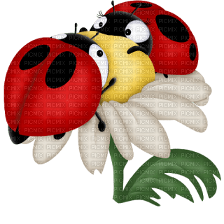 Kaz_Creations Cute Ladybug - zadarmo png