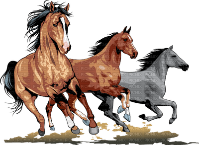 Kaz_Creations Animals Horses Horse - gratis png