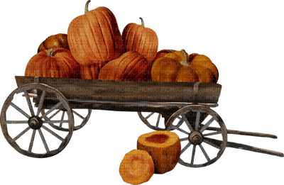 pumpkin katrin - ilmainen png