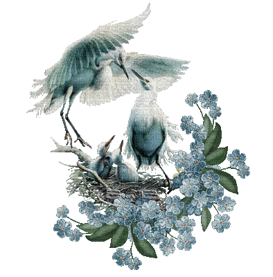 oiseau bleu.Cheyenne63 - Free animated GIF