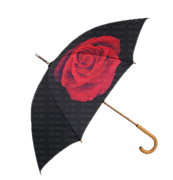 schirm rose - Free PNG