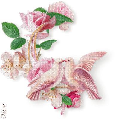 flower-doves-pink - 免费PNG