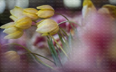 Kaz_Creations Deco  Flowers Backgrounds Background Colours - png gratis