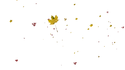 dulcineia8 flores - Ücretsiz animasyonlu GIF