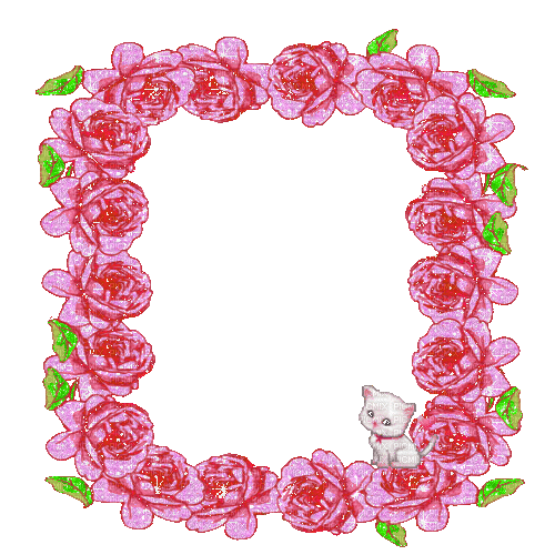 pink roses frame with a cat - GIF animado grátis