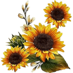 Sunflower.Tournesol.Girasoles.Victoriabea - Free PNG