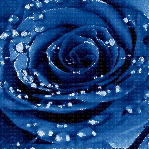 blue milla1959 - Бесплатный анимированный гифка