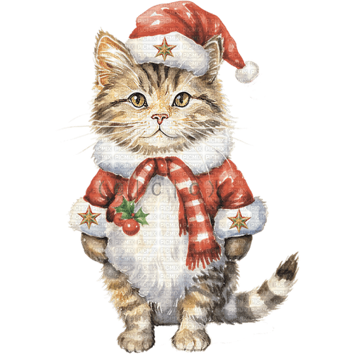 cat christmas red animal cute holiday - kostenlos png