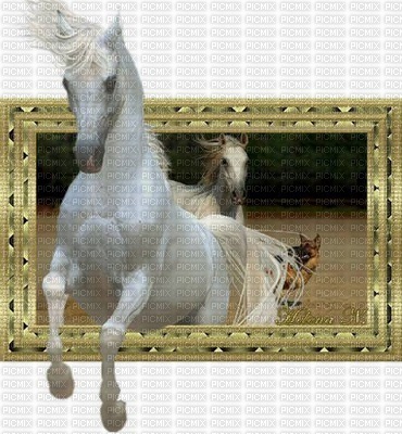 HORSE FANTASY - darmowe png