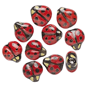 ladybug beads - png gratis