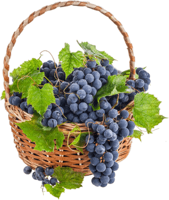panier raisins deco automne autumn deco grapes - PNG gratuit