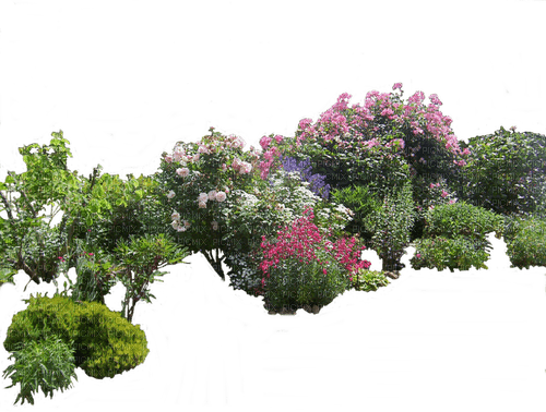 blommor - Free PNG