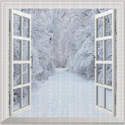 Window to the Winter - png gratis
