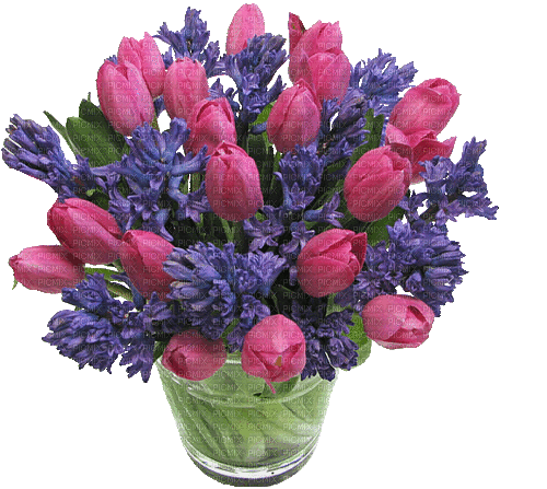 Frühling, Blumen, Tulpen, Flieder, Flowers - Ilmainen animoitu GIF