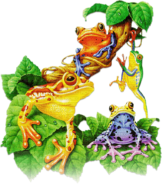soave deco frog leaves green yellow blue brown - безплатен png