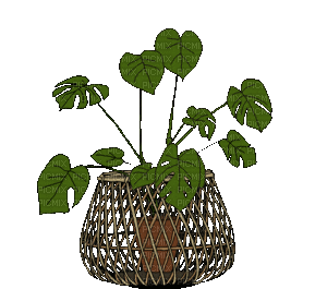 Plants.plante.Deco.Victoriabea - Free animated GIF