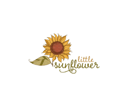 loly33 texte little sunflower - nemokama png