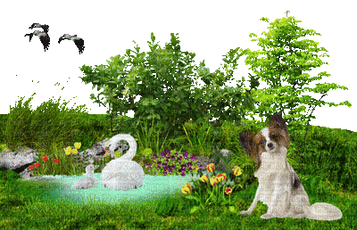 spring printemps landscape paysage gif anime pond dog fond garden tube jardin - GIF animé gratuit
