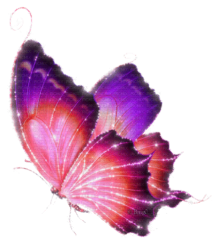 Y.A.M._Fantasy butterfly - Ilmainen animoitu GIF