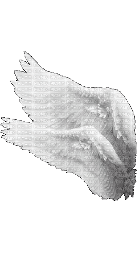 Крылья - GIF animado grátis