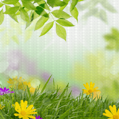 Y.A.M._Spring background - Free PNG
