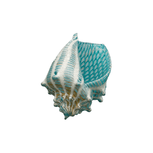 kikkapink deco scrap blue seashell - ücretsiz png