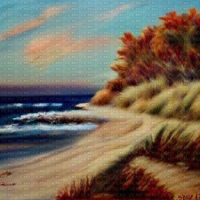 Autumn Beach Background - zdarma png