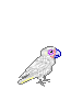 birds katrin - GIF animado grátis