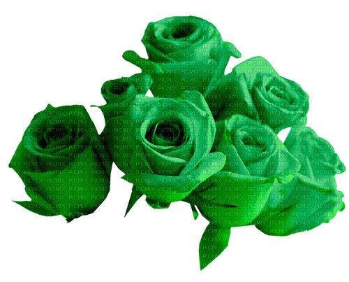 Roses.Green - png grátis
