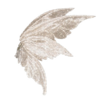 fairy wings - GIF animé gratuit
