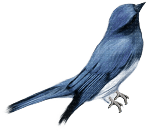 autumn deco kikkapink png blue bird - PNG gratuit