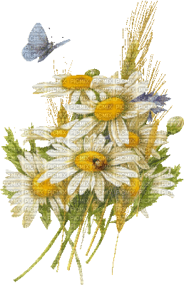 fleur - Nemokamas animacinis gif