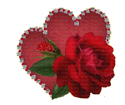 Flower, Flowers, Flower, Flowers, Rose, Roses, Heart, Hearts, Red - Jitter.Bug.girl - Zdarma animovaný GIF
