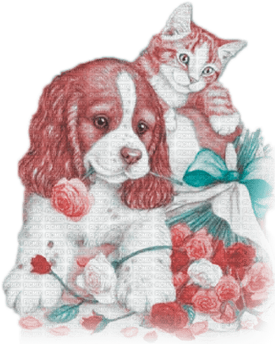 soave dog cat animals friends flowers pink teal - 無料png